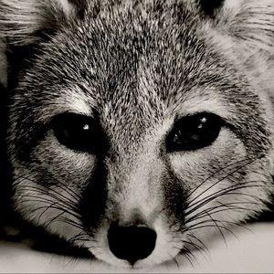 Meet your Posher, Bianca